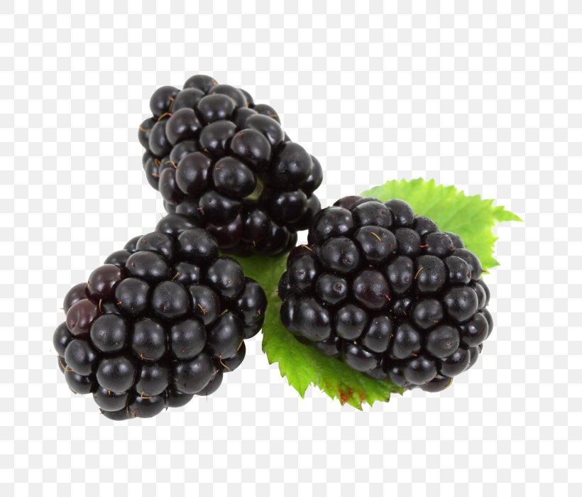 BlackBerry Fruit, PNG, 700x700px, Blackberry, Android, Berry, Bilberry, Blackberry Messenger Download Free
