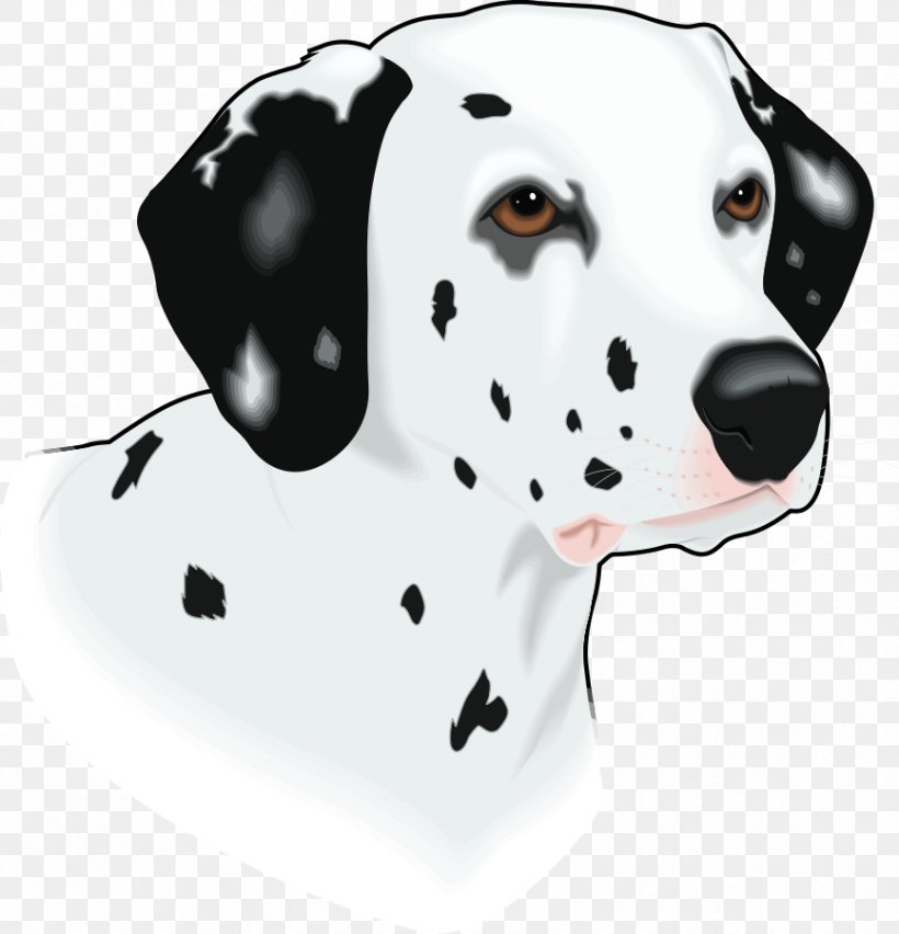 Dalmatian Dog Pongo Perdita Puppy The Dalmatian, PNG, 866x900px, Dalmatian Dog, Carnivoran, Companion Dog, Dalmatian, Dog Download Free