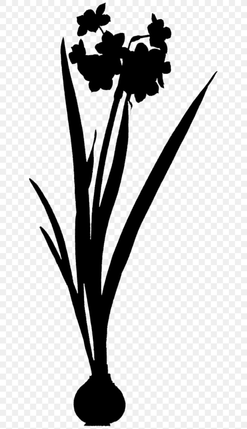 Flower Plant Stem Leaf Clip Art Silhouette, PNG, 643x1424px, Flower, Blackandwhite, Botany, Branching, Cut Flowers Download Free