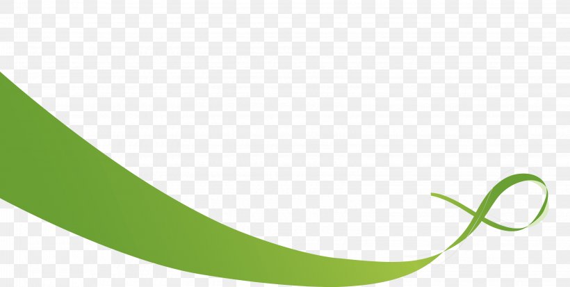 Logo Brand Green Font, PNG, 3253x1639px, Logo, Brand, Grass, Green, Text Download Free