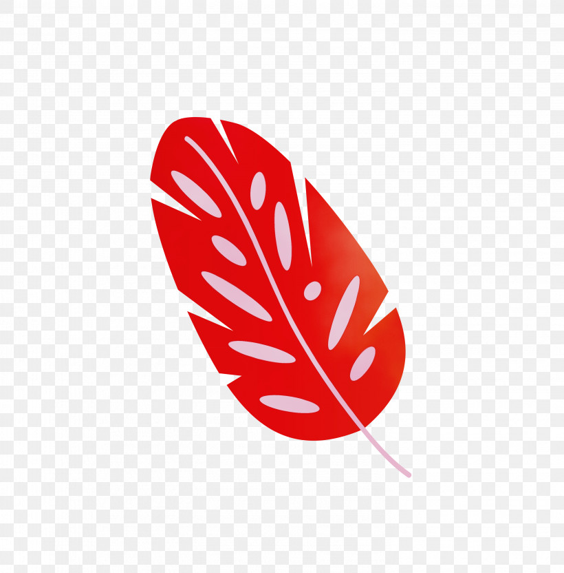 Logo Font Meter M, PNG, 2956x3000px, Leaf Cartoon, Leaf Abstract, Leaf Clipart, Logo, M Download Free