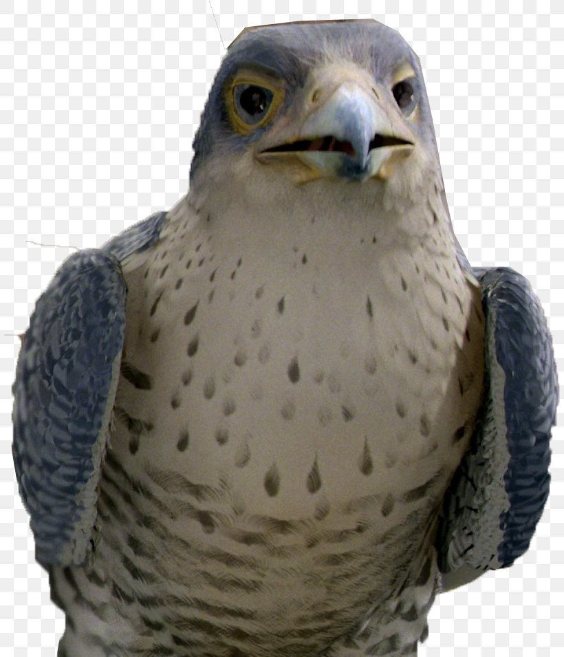 Margalo The Bird The Evil Falcon Snowbell Stuart Little, PNG, 808x955px, Evil Falcon, Animation, Beak, Bird, Bird Of Prey Download Free