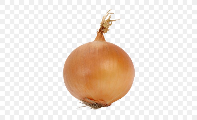 Yellow Onion Shallot Vegetarian Cuisine Calabaza, PNG, 500x500px, Yellow Onion, Calabaza, Common Bean, Dill, Food Download Free