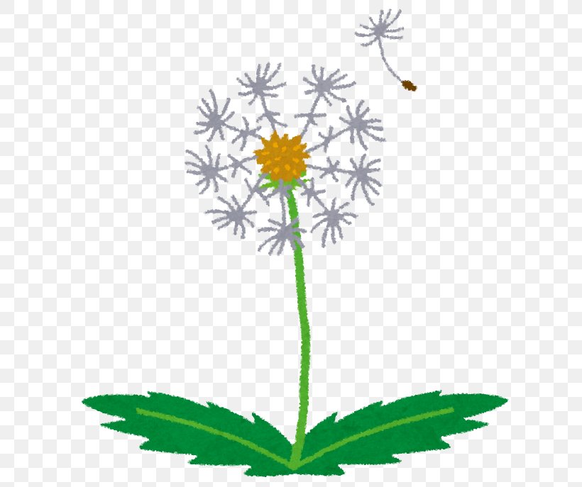 Child Dandelion Japan Hotel Family, PNG, 644x687px, Child, Cancer, Cherry Blossom, Daisy, Daisy Family Download Free