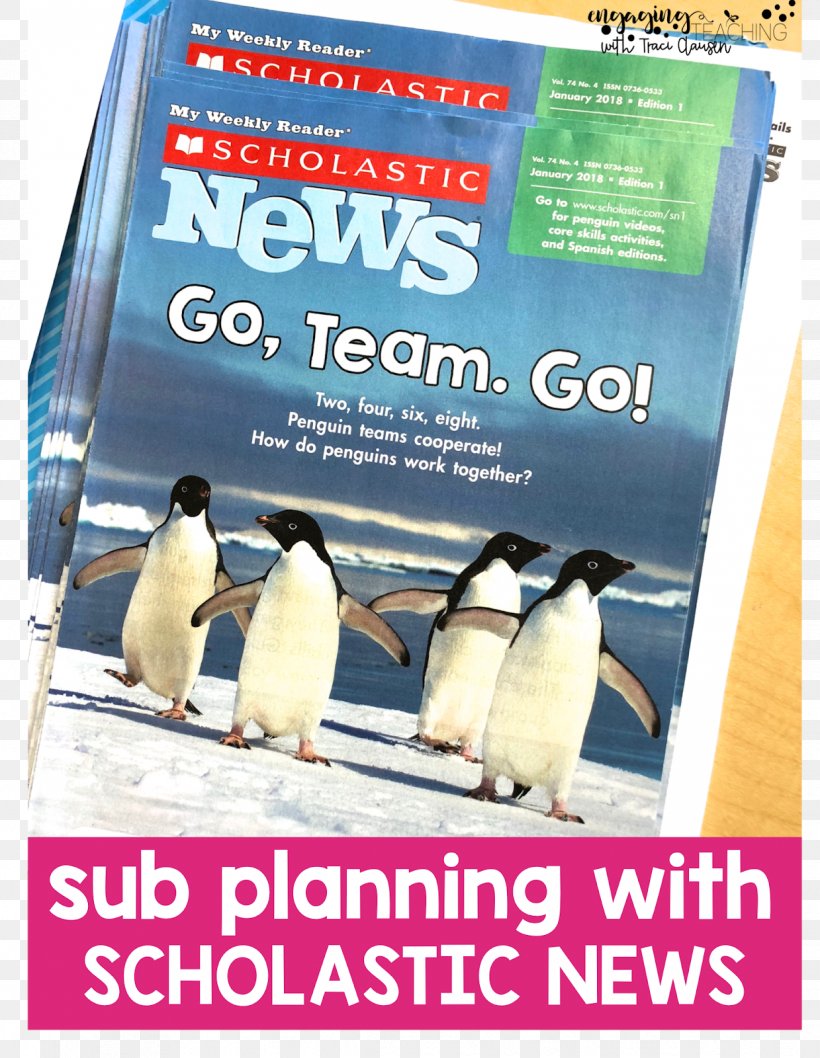 Scholastic Corporation First Grade Teacher School Kindergarten, PNG, 1239x1600px, Scholastic Corporation, Academic Year, Advertising, Bird, Book Download Free