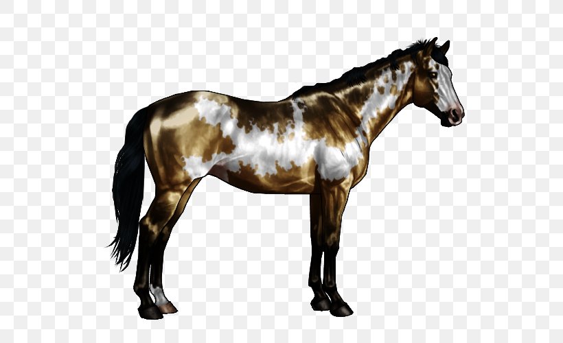 American Paint Horse Horse Markings White Chestnut Roan, PNG, 600x500px, American Paint Horse, Black, Chestnut, Colt, Dun Locus Download Free