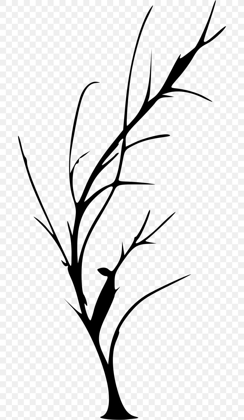 Drawing Twig Clip Art, PNG, 700x1410px, Drawing, Artwork, Beak, Black And White, Branch Download Free