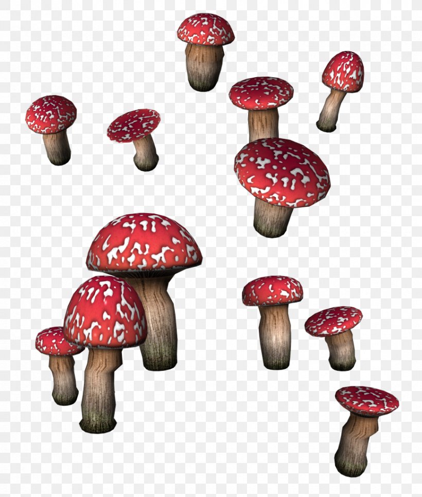 Mushroom Fungus Boletus Edulis Clip Art, PNG, 869x1024px, Mushroom, Boletus, Boletus Edulis, Fungus, Garlic Download Free