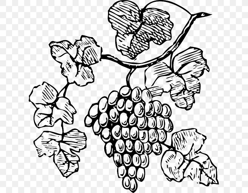 Wine Common Grape Vine Champagne Clip Art, PNG, 629x640px, Wine, Artwork, Black And White, Branch, Bread Download Free