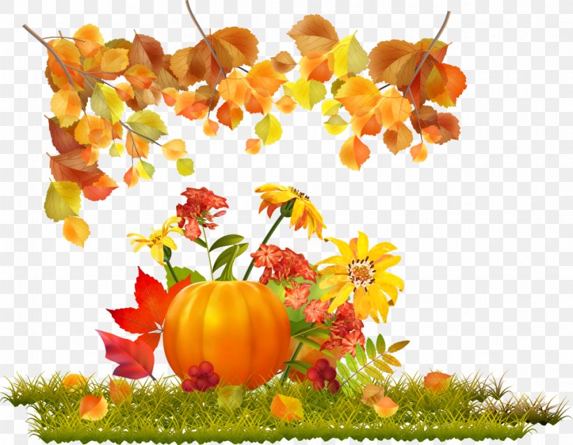 Autumn Download, PNG, 970x753px, Autumn, Branch, Floral Design, Floristry, Flower Download Free