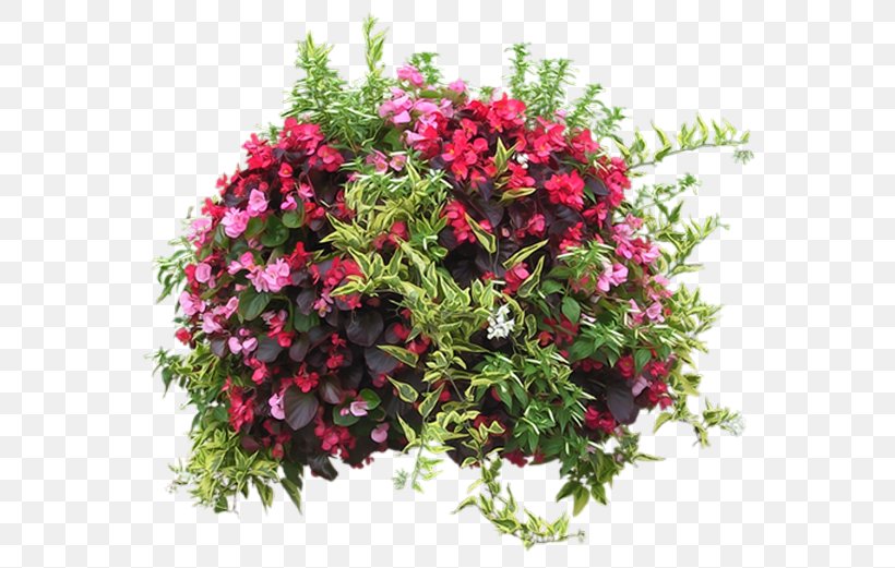 Flower Garden Houseplant Clip Art, PNG, 600x521px, Flower Garden, Annual Plant, Bougainvillea Spectabilis, Cut Flowers, Floral Design Download Free
