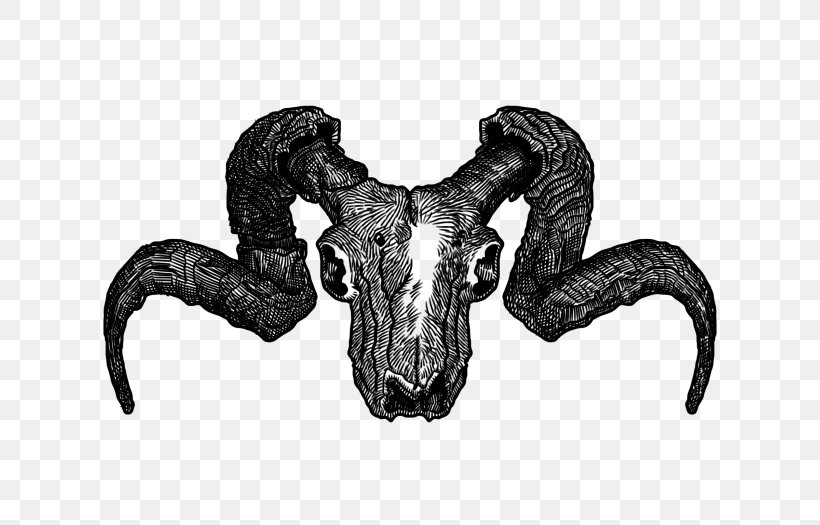Montesa T-shirt Chiva Horn Goat Simulator, PNG, 700x525px, Montesa, Black And White, Bone, Cabra, Chiva Download Free