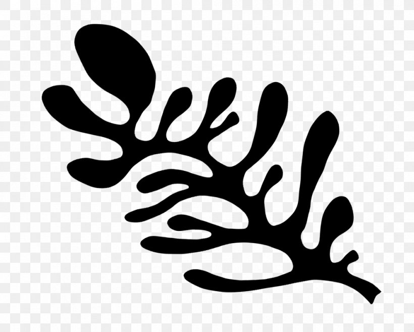 Finger Line Leaf Branching Clip Art, PNG, 991x795px, Finger, Black And White, Branch, Branching, Flower Download Free