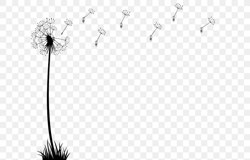 Line Flower, PNG, 700x525px, Flower, Black And White, Branch, Branching, Flowering Plant Download Free