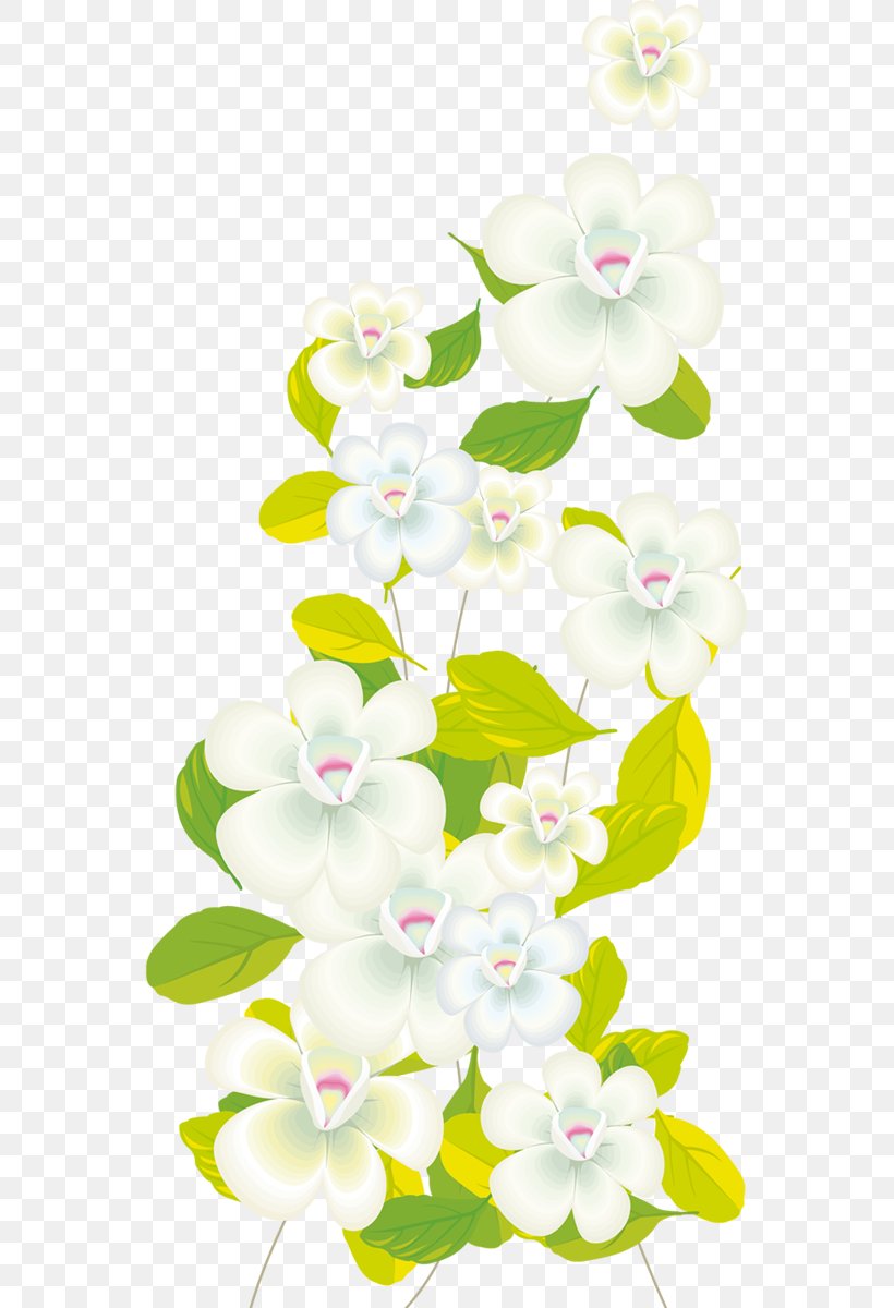 Moth Orchids Clip Art, PNG, 553x1200px, Moth Orchids, Albom, Blossom, Branch, Computer Download Free