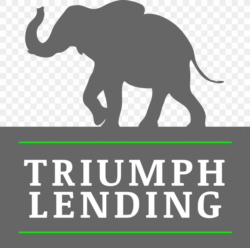 Indian Elephant Triumph Lending African Elephant Loan Refinancing, PNG, 2531x2517px, Indian Elephant, African Elephant, Brand, Elephant, Elephants Download Free