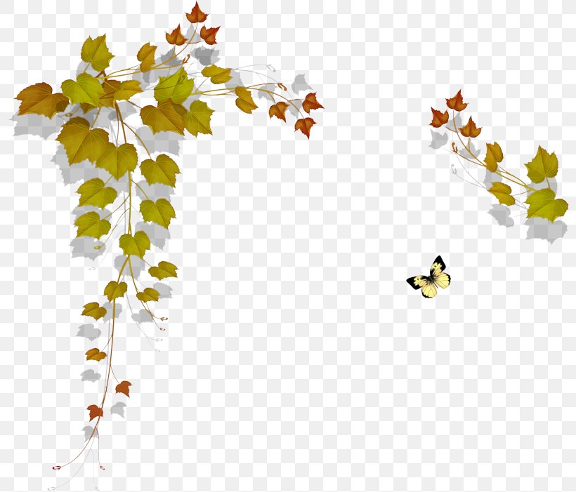 Maple Leaf Painting Paper, PNG, 800x701px, Leaf, Branch, Flora, Flower, Flowering Plant Download Free