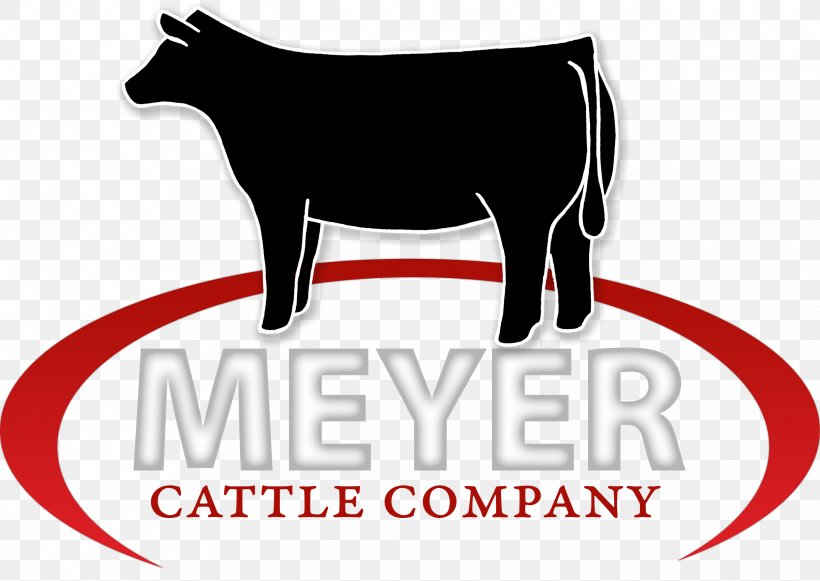 Meyer Cattle Company, PNG, 2432x1725px, Angus Cattle, Brand, Breed, Bull, Cattle Download Free