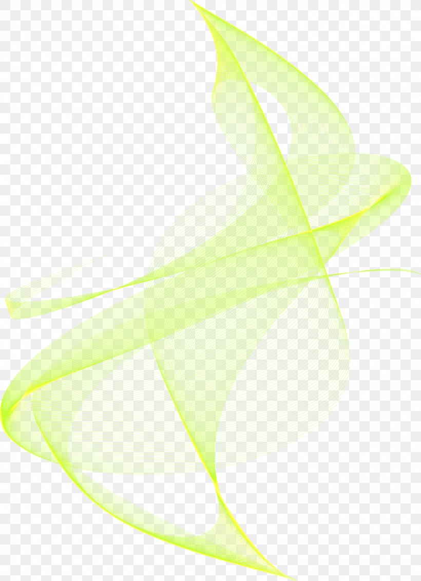 Product Design Desktop Wallpaper Leaf Angle Computer, PNG, 1972x2722px, Leaf, Computer, Flora, Flower, Green Download Free