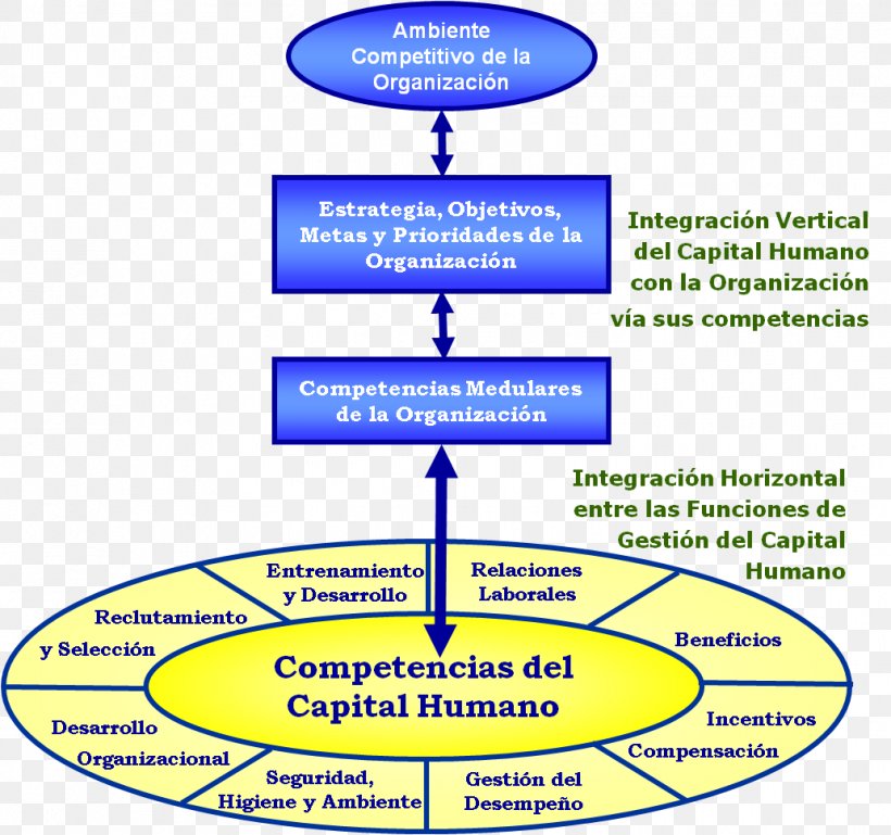 Salesperson Competencias Técnicas Competence Organization, PNG, 1032x969px, Salesperson, Area, Businessperson, Competence, Competencia Download Free