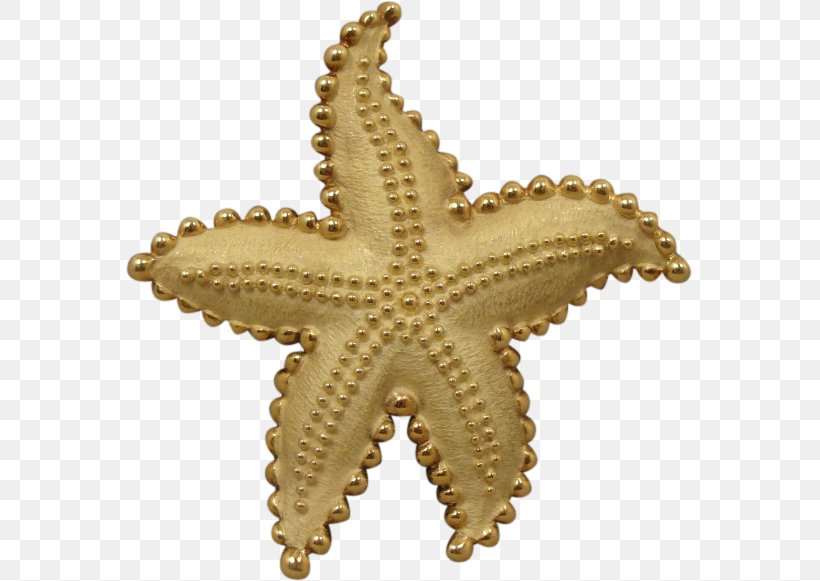 Starfish Echinoderm, PNG, 581x581px, Starfish, Echinoderm, Invertebrate, Marine Invertebrates, Organism Download Free