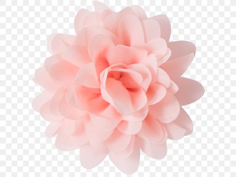 Waaaw Kids Pink Rosé Color Voile, PNG, 609x617px, Pink, Clothing, Clothing Accessories, Color, Dahlia Download Free