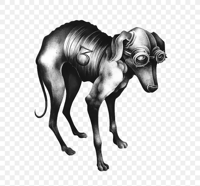 Images Of Cartoon Italian Greyhound Drawing