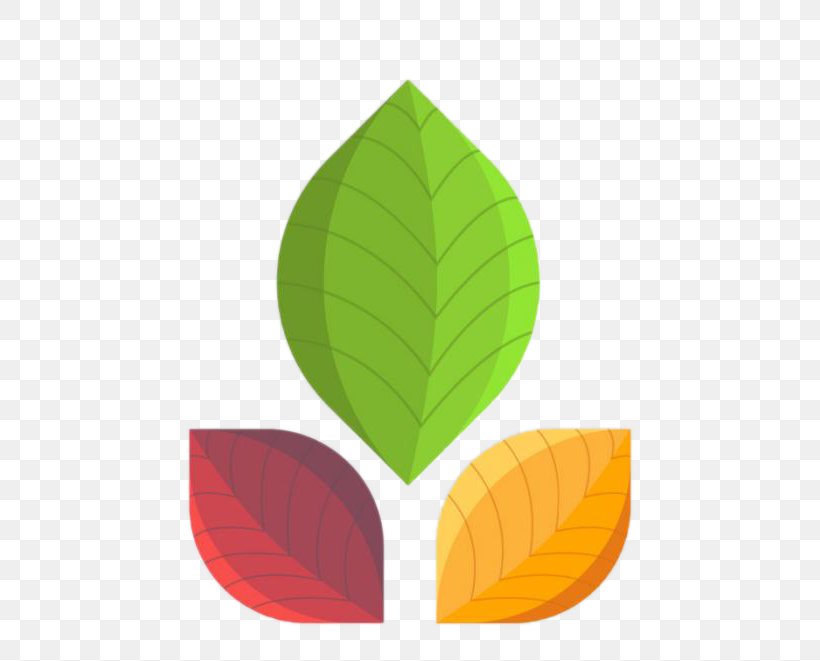 Leaf Color, PNG, 700x661px, Leaf, Autumn Leaf Color, Clover, Color, Maple Leaf Download Free