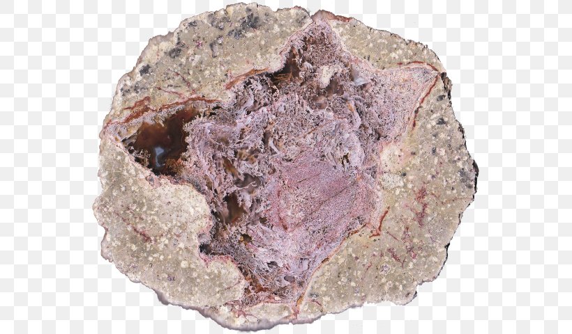 Mineral Igneous Rock Thunderegg Sales, PNG, 560x480px, Mineral, Igneous Rock, Rock, Sales, Shopping Download Free