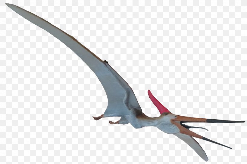 Pteranodon Mosasaurus Elasmosaurus Ichthyornis Quetzalcoatlus, PNG, 1620x1080px, Pteranodon, Ark Survival Evolved, Beak, Bennettazhia, Carnotaurus Download Free