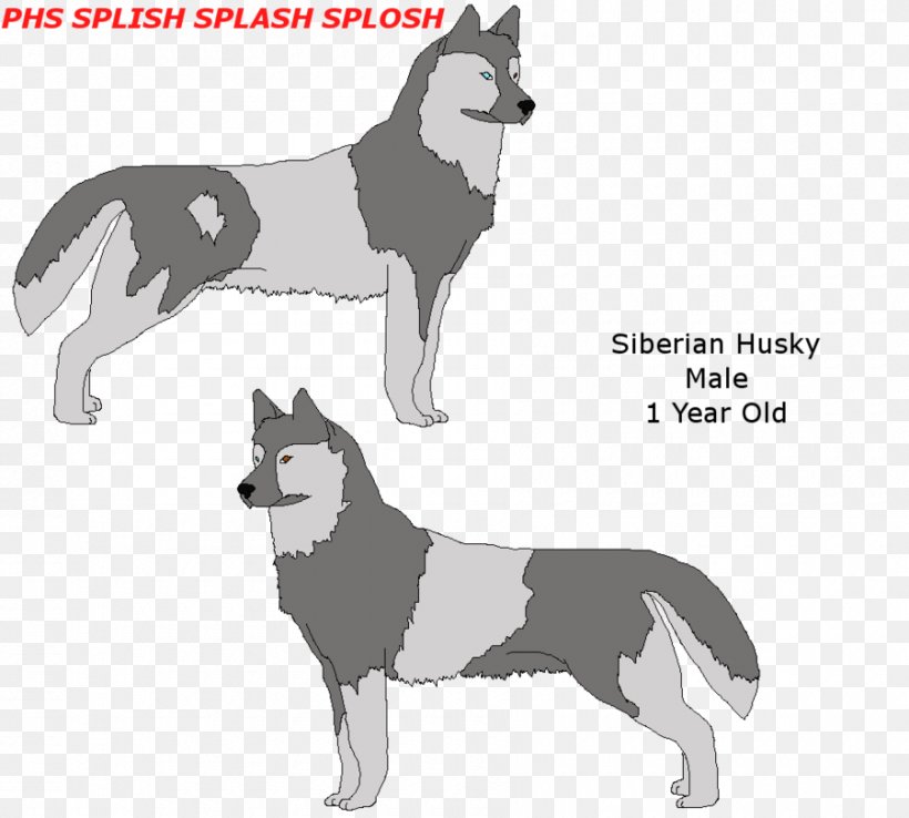 Siberian Husky Dog Breed Sakhalin Husky Alaskan Malamute Alaskan Husky, PNG, 900x810px, Siberian Husky, Alaskan Husky, Alaskan Malamute, Animated Cartoon, Black And White Download Free