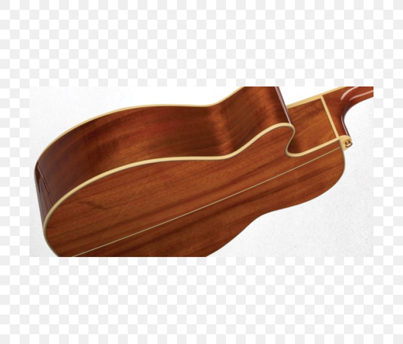 Takamine Guitars Classical Guitar /m/083vt String Instruments Musical Instruments, PNG, 700x700px, Takamine Guitars, Caramel Color, Classical Guitar, Japanese, Japanese People Download Free