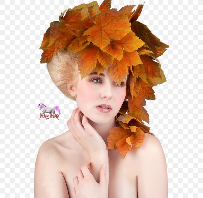 Autumn Woman TinyPic Meteorology, PNG, 550x800px, Autumn, Brown Hair, Floral Design, Flower, Flower Arranging Download Free