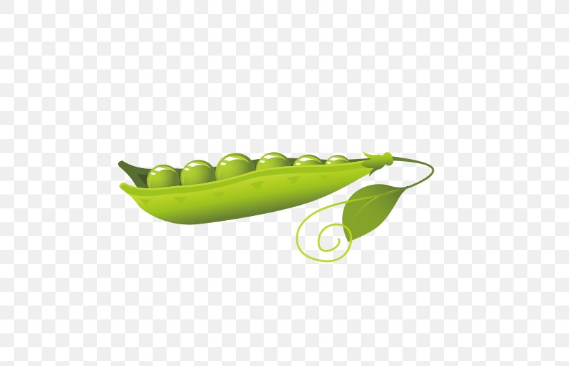 Pea Euclidean Vector, PNG, 505x527px, Pea, Drawing, Fruit, Gratis, Green Download Free
