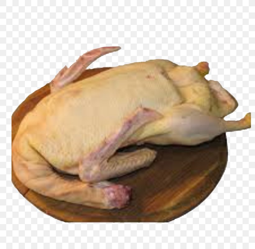 Domestic Duck Turkey Meat Bird Chicken, PNG, 800x800px, Duck, Animal Fat, Animal Source Foods, Bird, Calorie Download Free