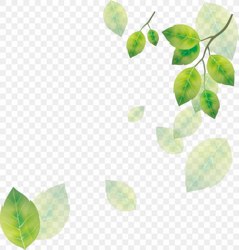 Leaf Tree, PNG, 1701x1777px, Leaf, Flower, Green, Petal, Tree Download Free