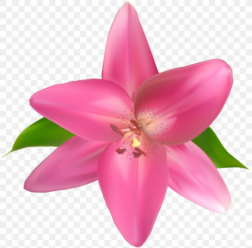 Petal, PNG, 8000x7870px, Flower, Blog, Common Daisy, Floral Design, Flowering Plant Download Free