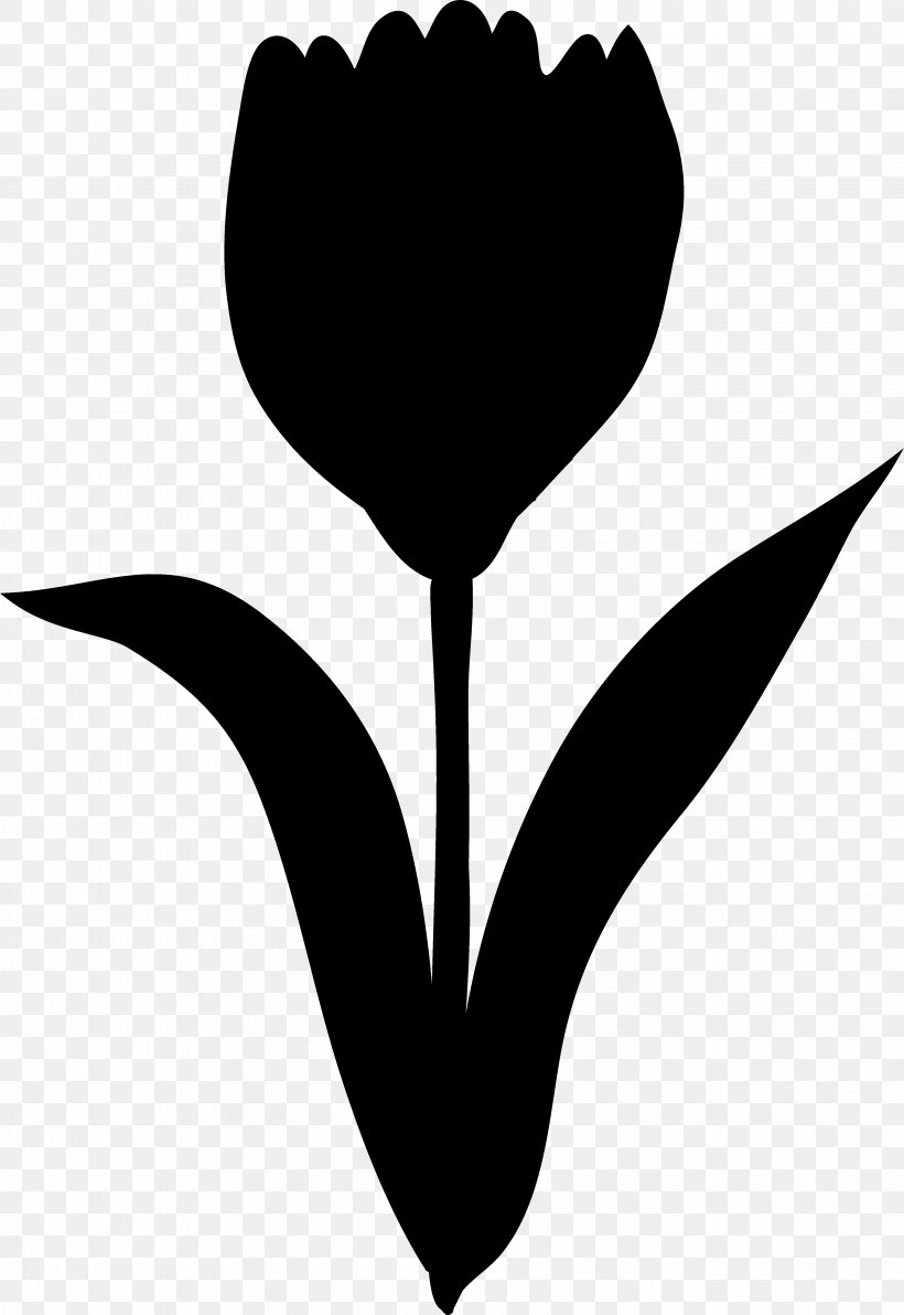 Tulip Clip Art Rose Family Leaf Plant Stem, PNG, 4067x5913px, Tulip, Blackandwhite, Botany, Flower, Heart Download Free