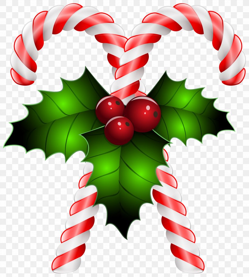 Candy Cane Lollipop Stick Candy Clip Art, PNG, 5491x6112px, Candy Cane, Aquifoliaceae, Aquifoliales, Candy, Christmas Download Free