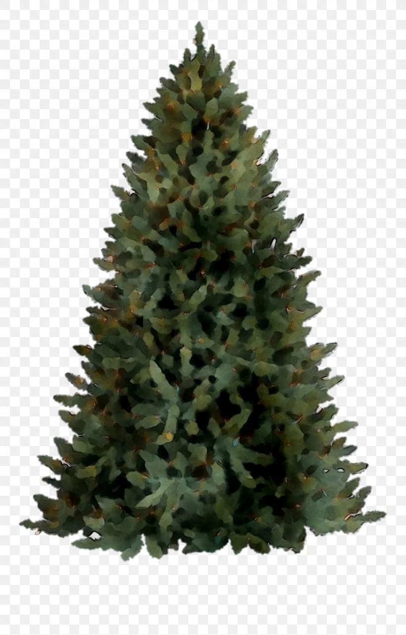 Christmas Tree Spruce Christmas Day Wreath, PNG, 871x1361px, Christmas Tree, American Larch, Arizona Cypress, Artificial Christmas Tree, Balsam Fir Download Free