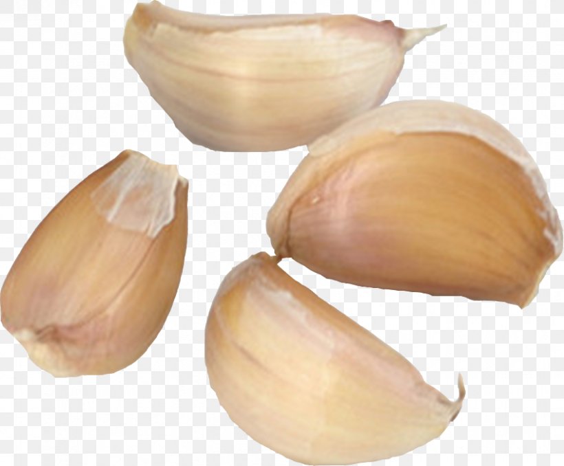 Garlic Ingredient Euclidean Vector, PNG, 849x702px, Garlic, Designer, Google Images, Gratis, Health Download Free
