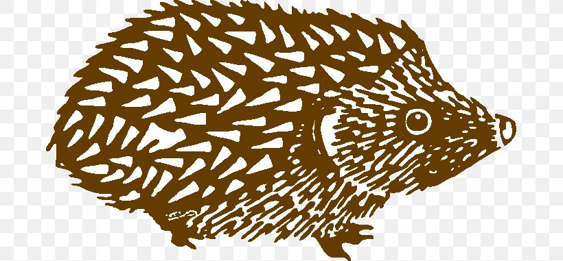North African Hedgehog Domesticated Hedgehog Four-toed Hedgehog British Hedgehog Preservation Society European Hedgehog, PNG, 685x381px, North African Hedgehog, Animal, Atelerix, Black And White, Carnivoran Download Free