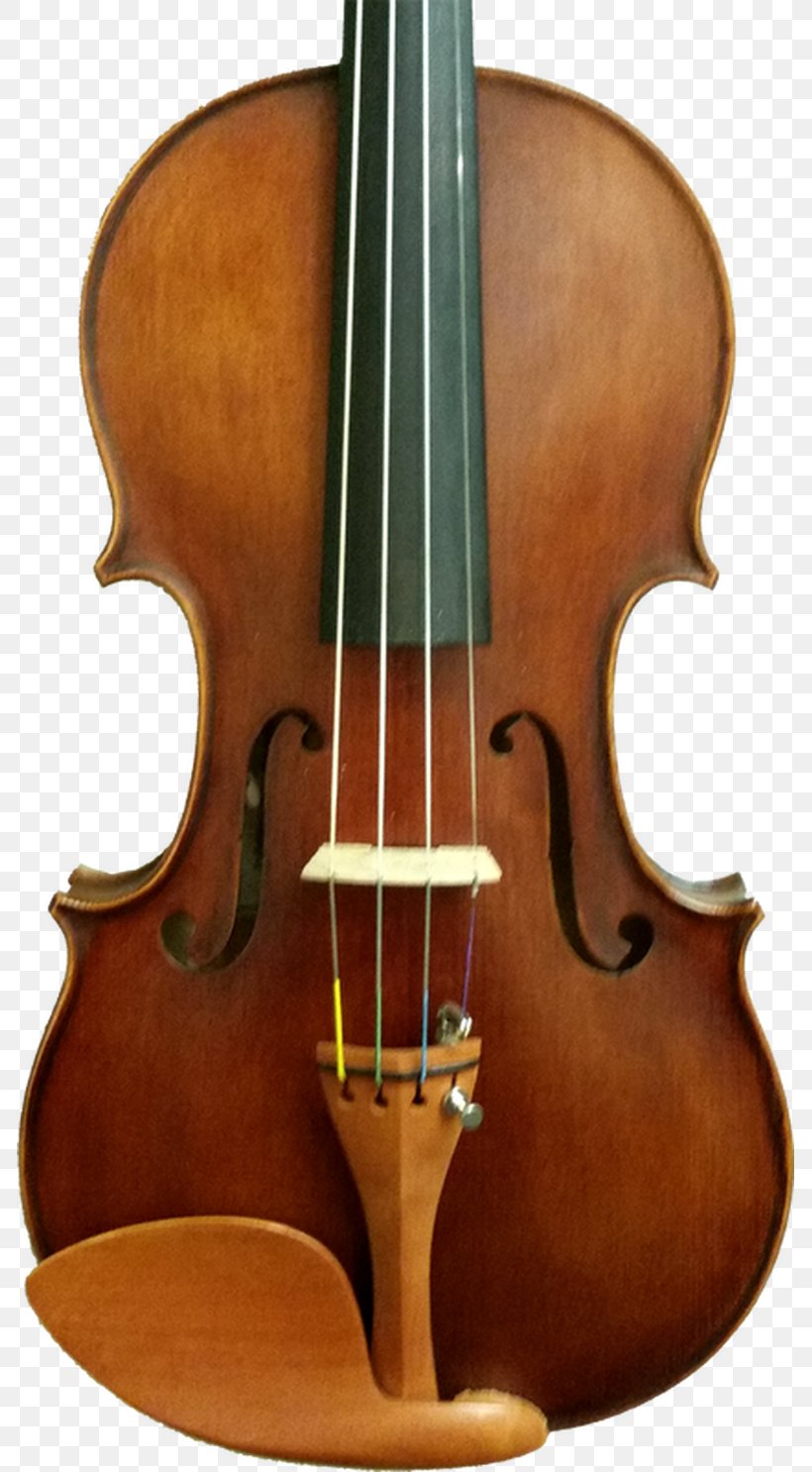 Bass Violin Double Bass Violone Viola, PNG, 785x1486px, Bass Violin, Bass Guitar, Bowed String Instrument, Cellist, Cello Download Free