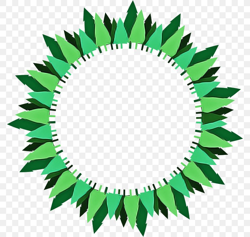 Holly, PNG, 776x776px, Green, Holly, Leaf, Plant Download Free