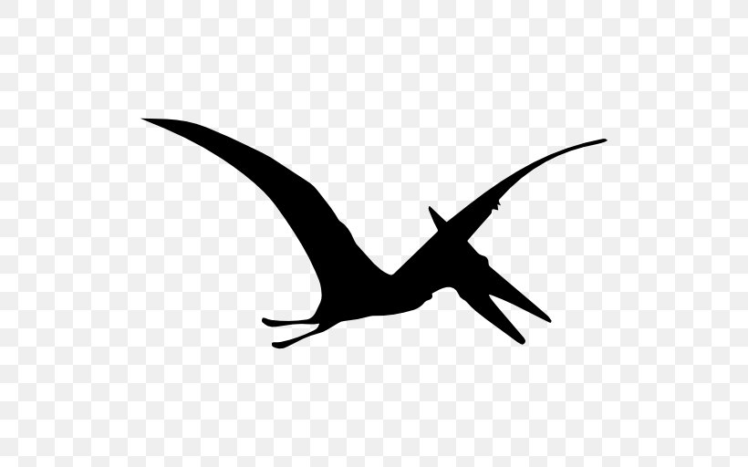 Pterodactyls Apatosaurus Pterosaurs Dinosaur, PNG, 512x512px, Pterodactyls, Apatosaurus, Beak, Bird, Black And White Download Free