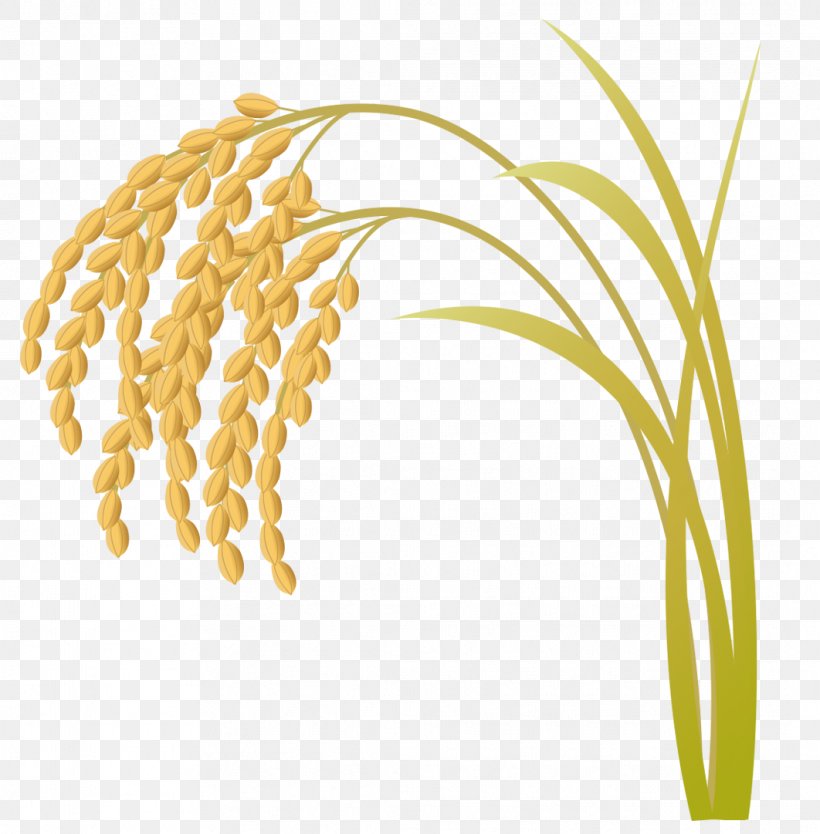 Rice Illustration Image Vector Graphics Silhouette, PNG, 1062x1081px, Rice, Cereal, Cereal Germ, Commodity, Crop Download Free