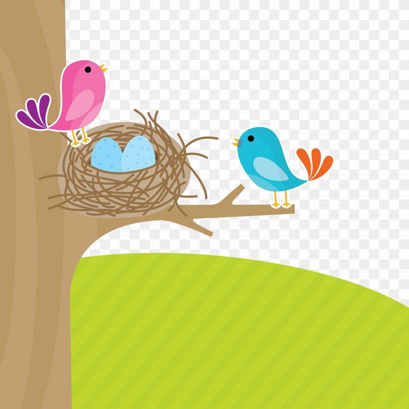 Bird Euclidean Vector Illustration, PNG, 5000x5000px, Bird, Beak, Bird Nest, Drawing, Material Download Free