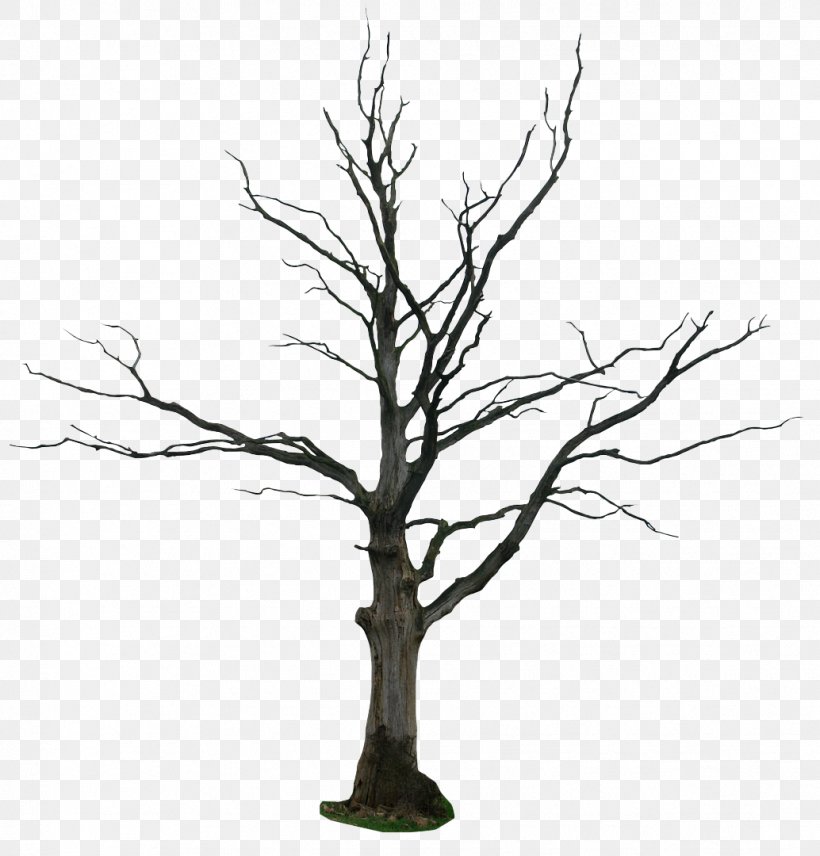 Drawing Clip Art, PNG, 1034x1080px, Drawing, Animation, Art, Black And White, Branch Download Free