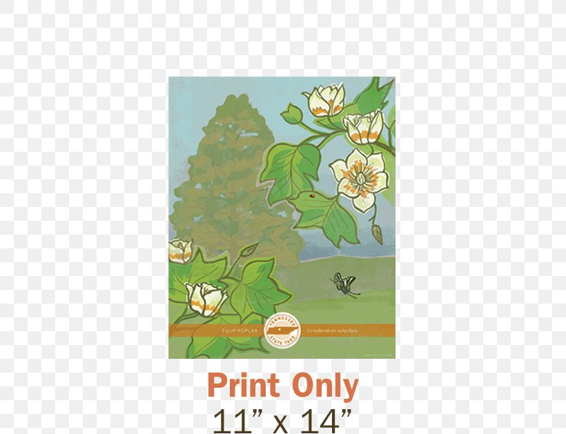Floral Design Greeting & Note Cards Leaf, PNG, 600x629px, Floral Design, Border, Flora, Flower, Flowering Plant Download Free