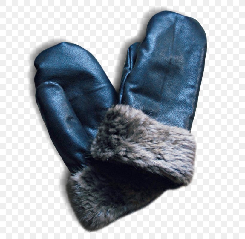 Fur Beaver Hat Glove Lining, PNG, 800x800px, Fur, Beaver, Beaver Hat, Biberfell, Canada Download Free